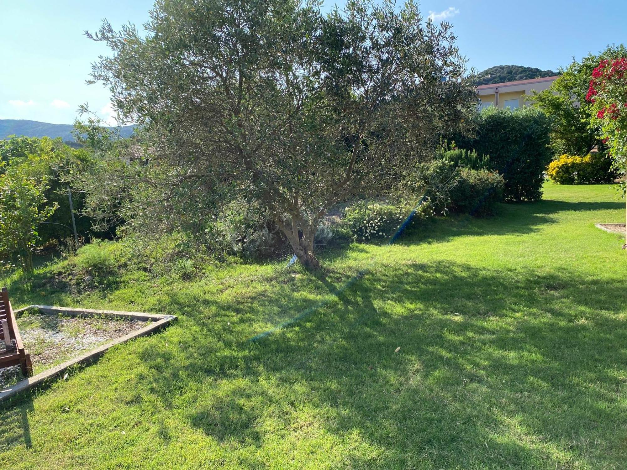 Lecallebed-Breakfast Chia Exterior foto