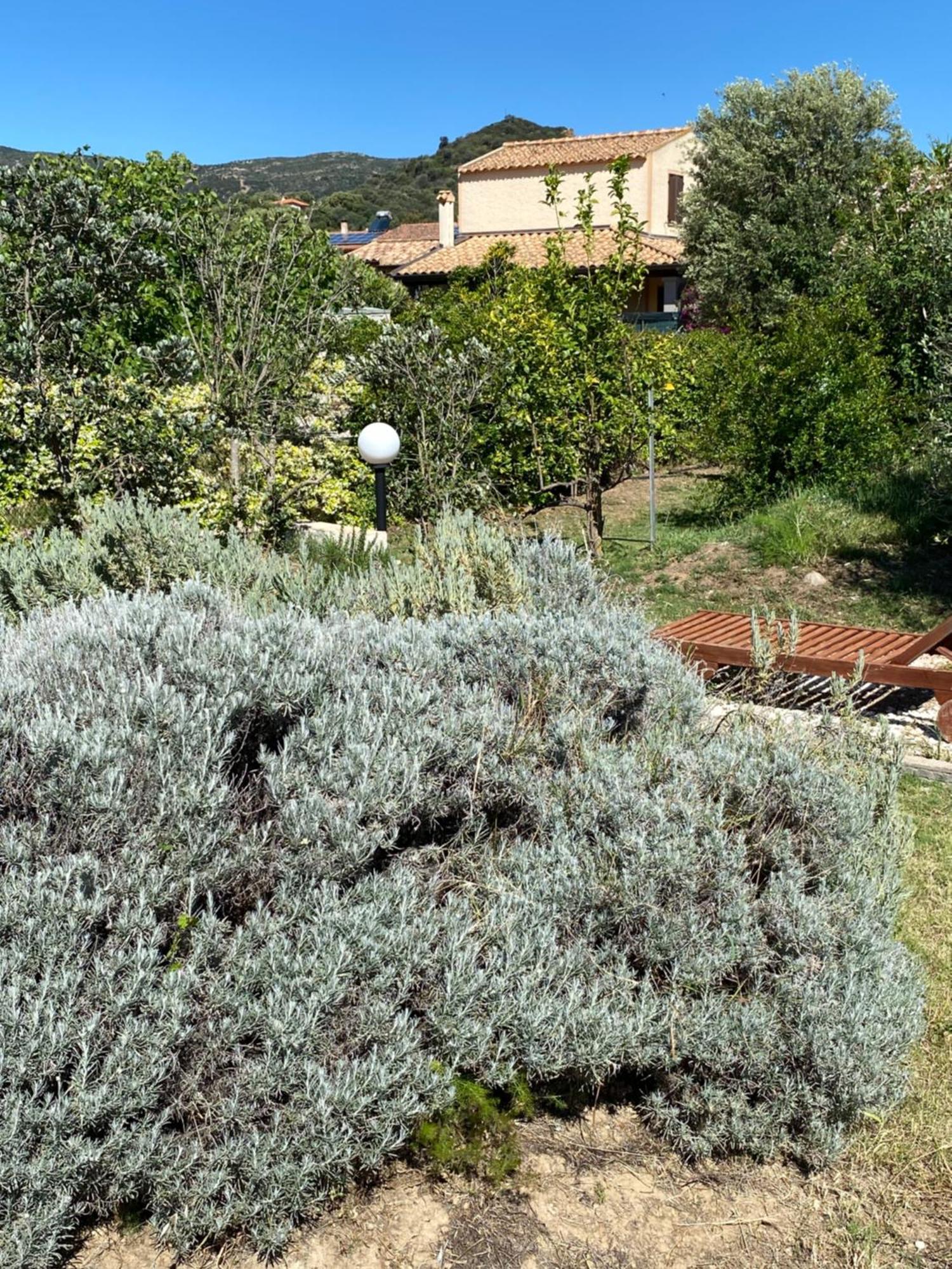Lecallebed-Breakfast Chia Exterior foto